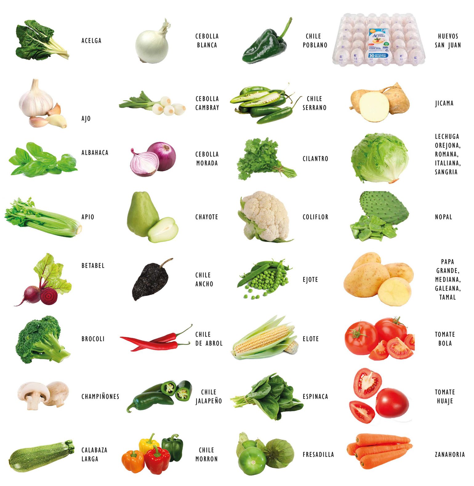 verduras, cebolla, zanahoria, lechuga, tomate, chile, betabel, elote